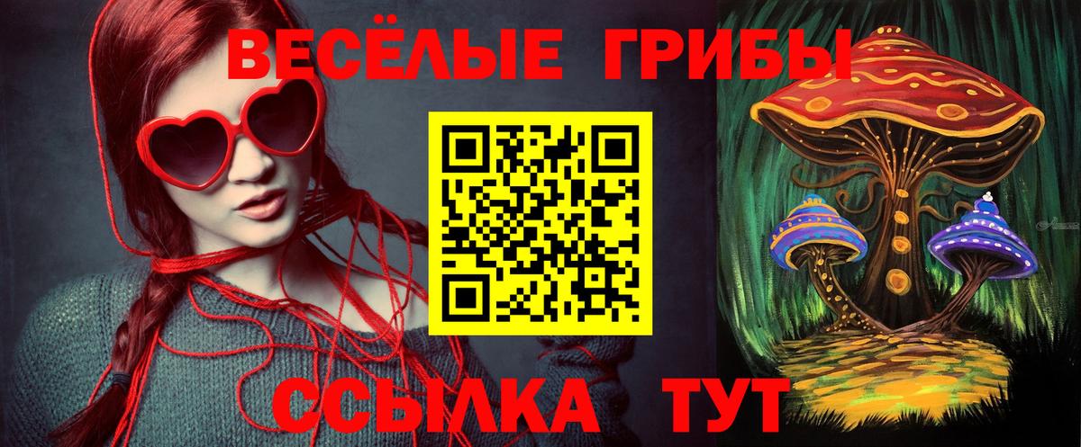 Псилоцибиновые грибы Magic Shrooms Тимашёвск