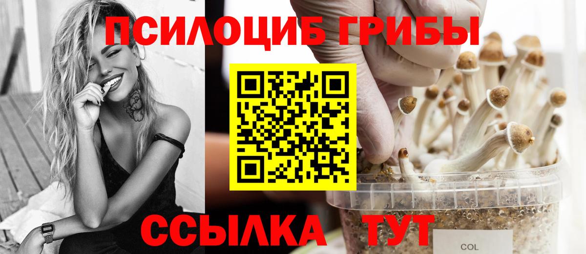 Галлюциногенные грибы прущие грибы  Вход с VPN  Тимашёвск 